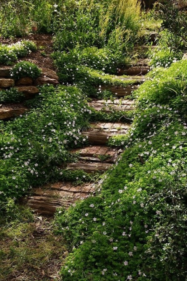 Cool Garden Stair Ideas For Inspiration (33)