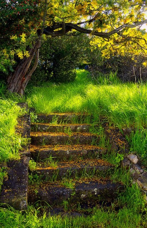 Cool Garden Stair Ideas For Inspiration (35)