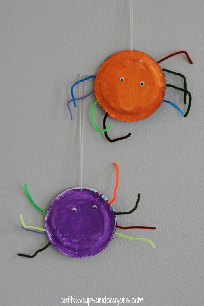 aper plate craft spiders