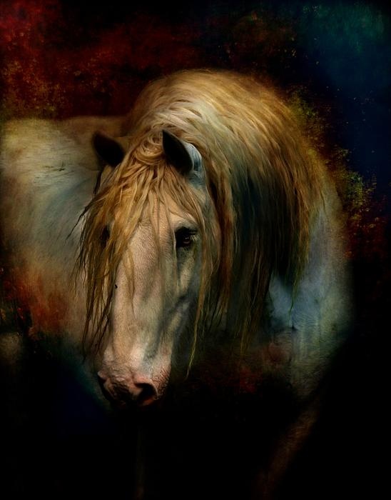 equine art 1