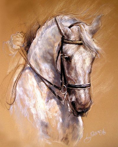 equine art 24