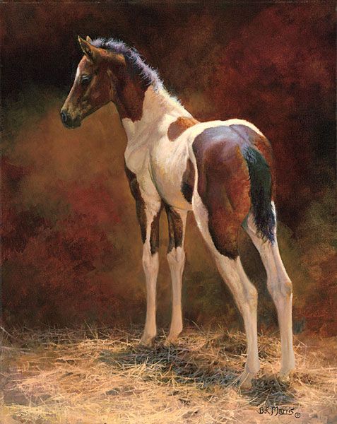 equine art 30