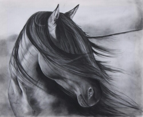 equine art 31