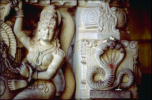 ajanta caves