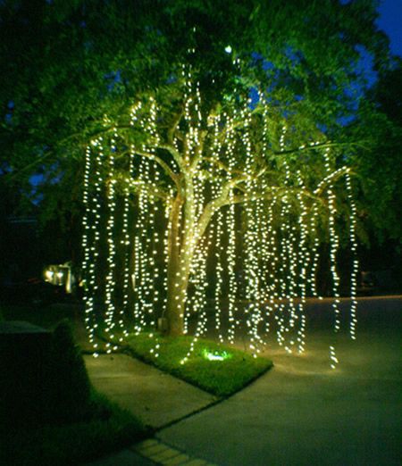 decorative lights 21