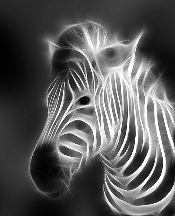 fractal art animals 9