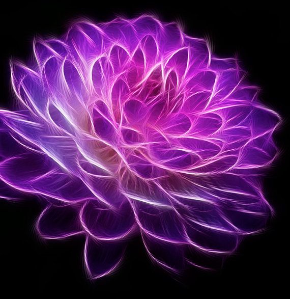 fractal art flowers 1