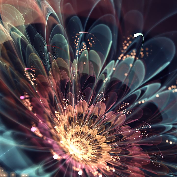 fractal art flowers 2