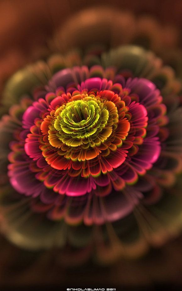 fractal art flowers 7