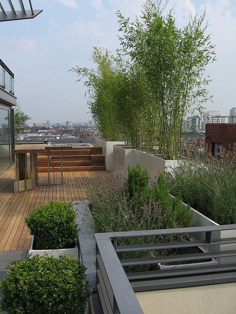 roof top garden 19