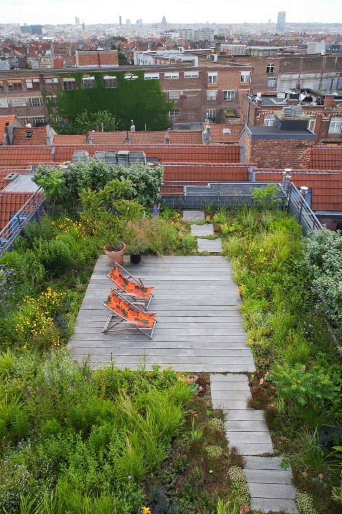 roof top garden 26