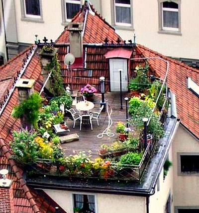 roof top garden 33