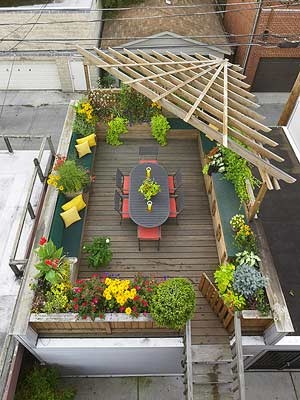 roof top garden 6