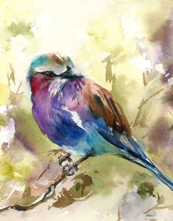 bird art 12