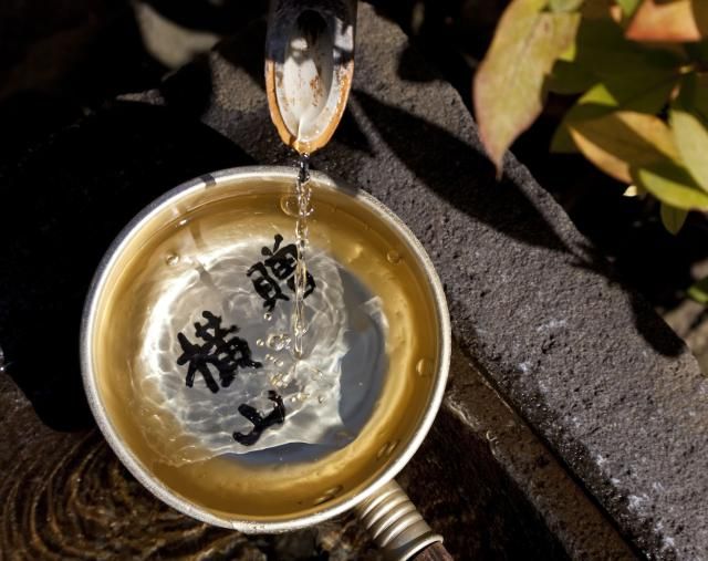 Water ladle at temple, Tokyo, Japan