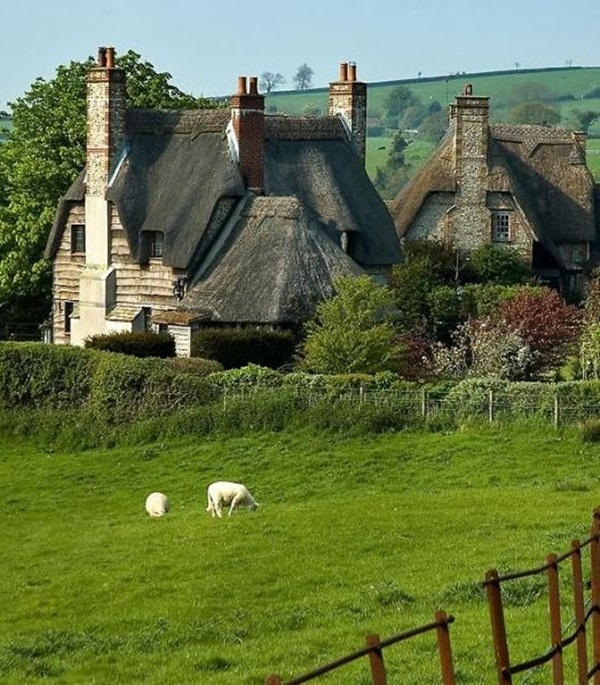 Beautiful thatch roof Cottage House Designs (2)