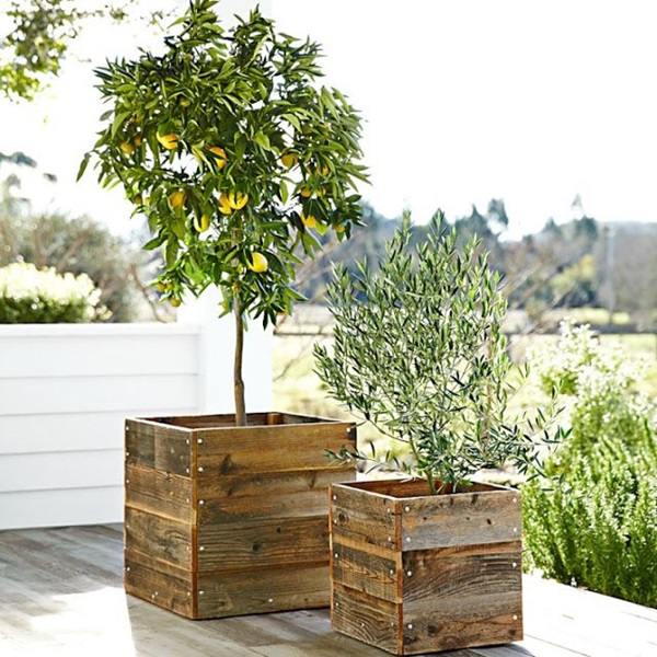 Smart space Savy Garden Ideas (31)