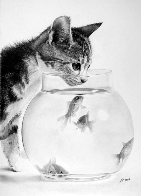 Realistic Animal Pencil Drawings (15)