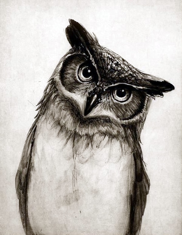 Realistic Animal Pencil Drawings (39)