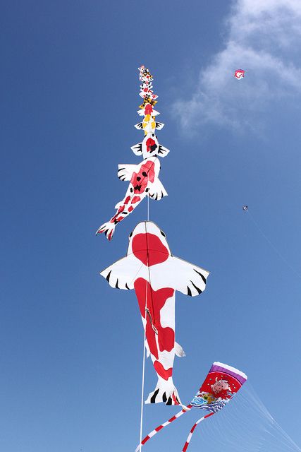 kite designs 15