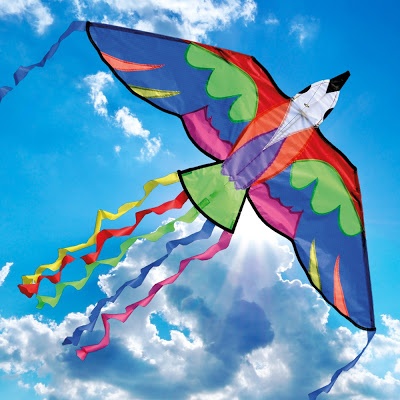 kite designs 31