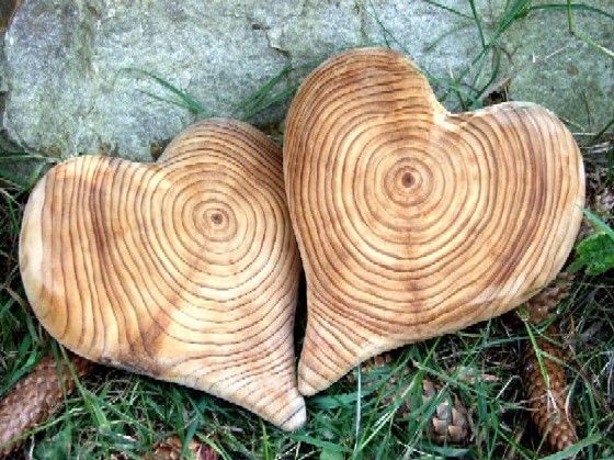 wood whittling 24