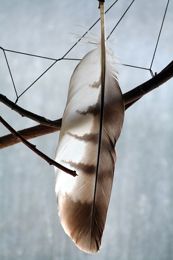 An Amazing Hobby of painted feathers (14)