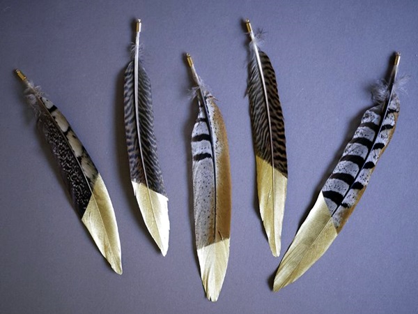 An Amazing Hobby of painted feathers (27)