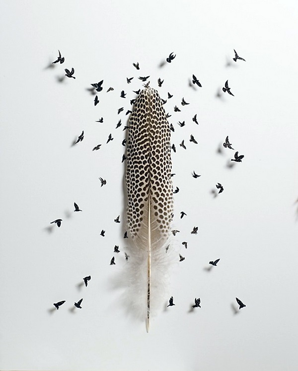 An Amazing Hobby of painted feathers (36)