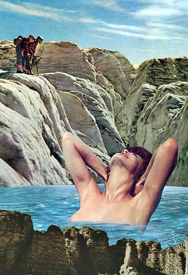 Clever and meaningful Collage Art Examples (26)