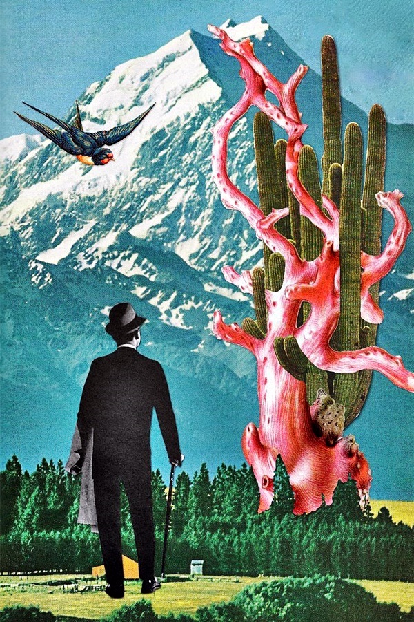 Clever and meaningful Collage Art Examples (4)