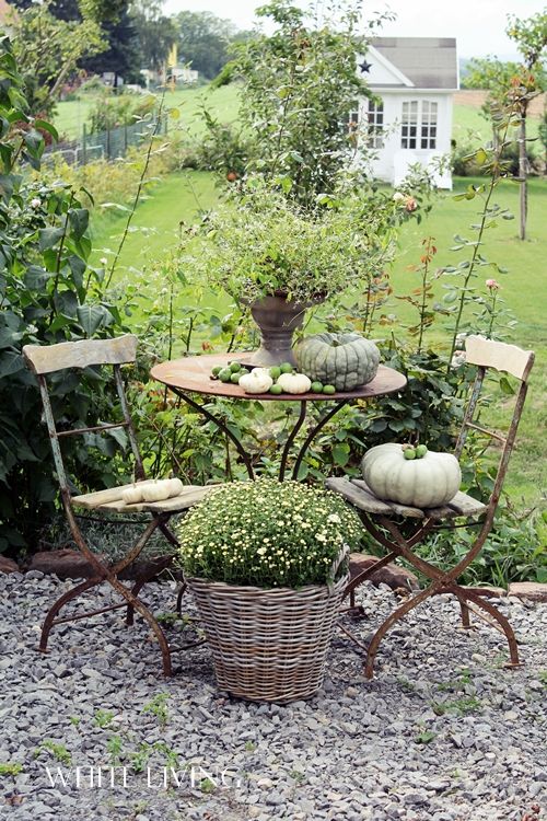 garden chair 25