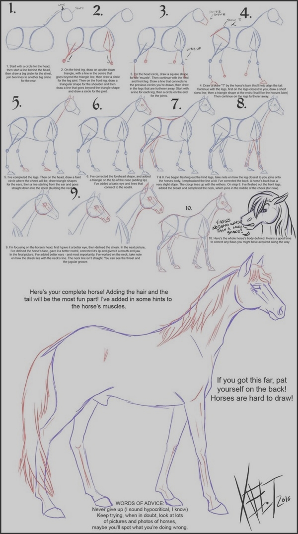 Easy Step by Step Art Drawings to Practice (35)