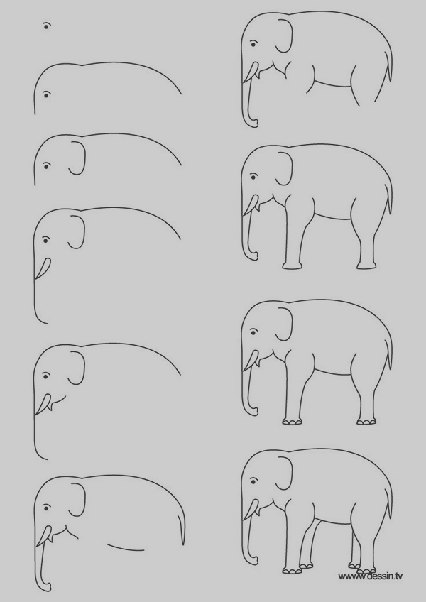 Easy Step by Step Art Drawings to Practice (8)
