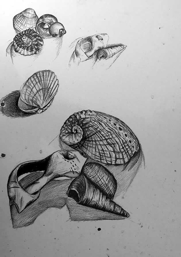 Excellent observational drawing Ideas (17)