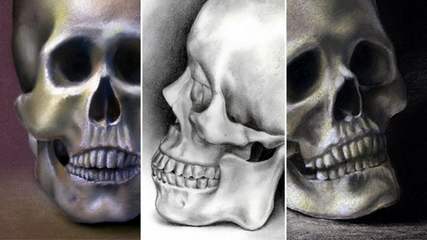 Excellent observational drawing Ideas (41)