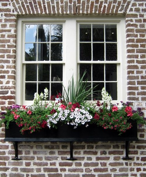 Magical window flower box ideas (10)