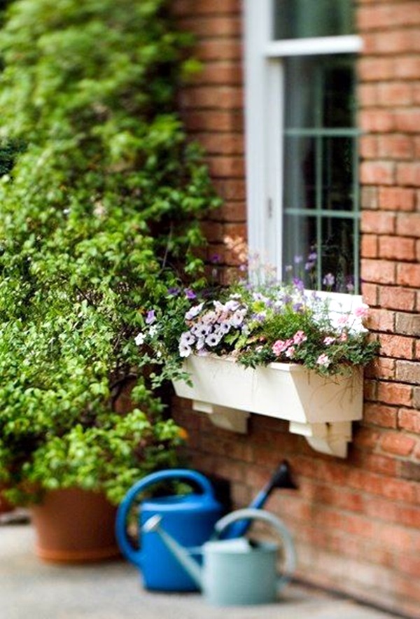 Magical window flower box ideas (14)