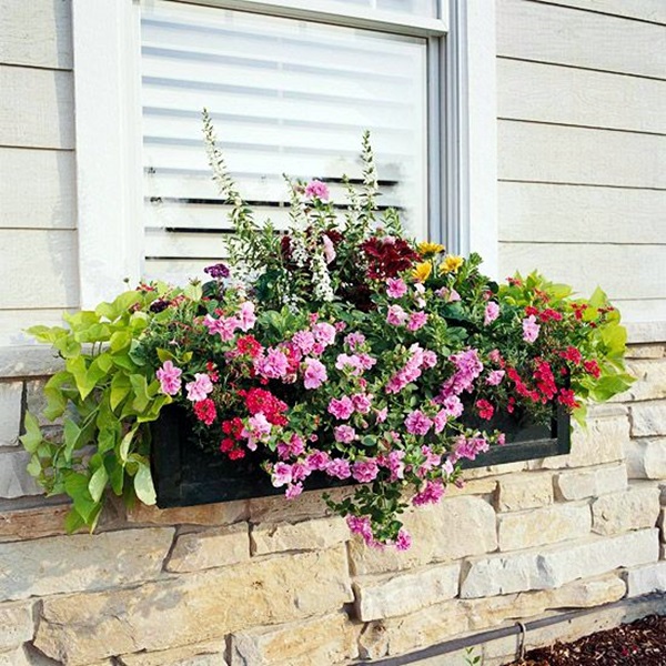 Magical window flower box ideas (16)