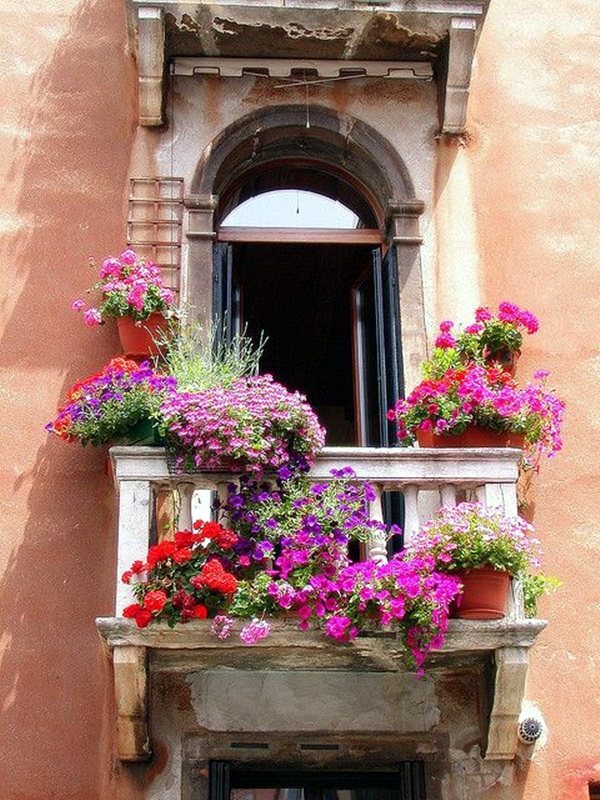 Magical window flower box ideas (18)