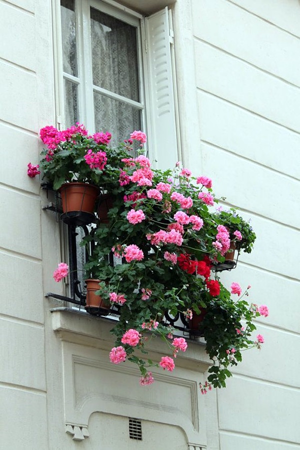 Magical window flower box ideas (20)