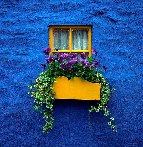 Magical window flower box ideas (23)