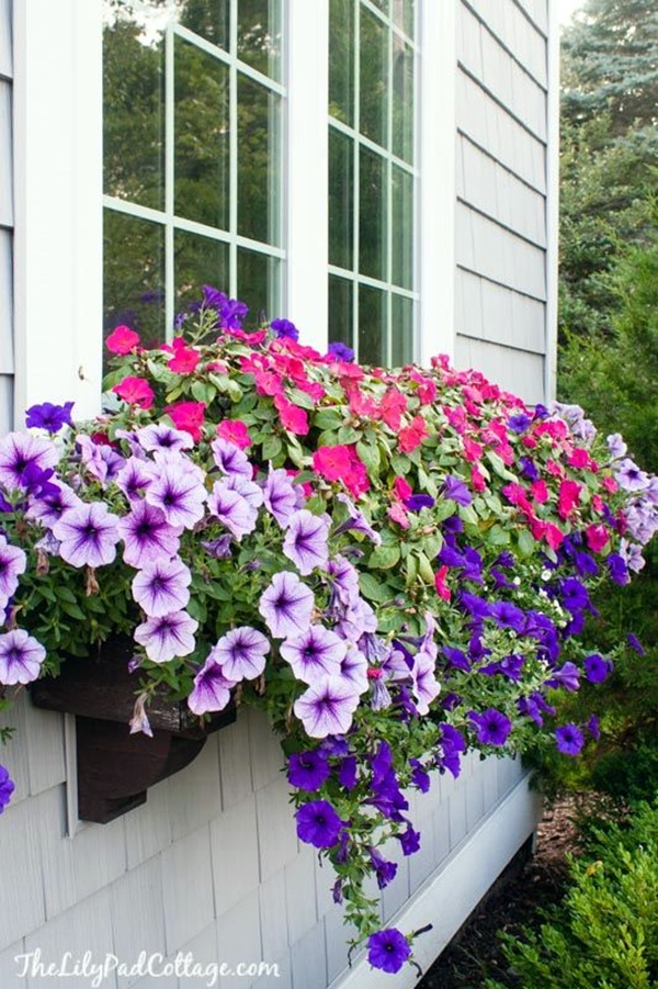 Magical window flower box ideas (25)