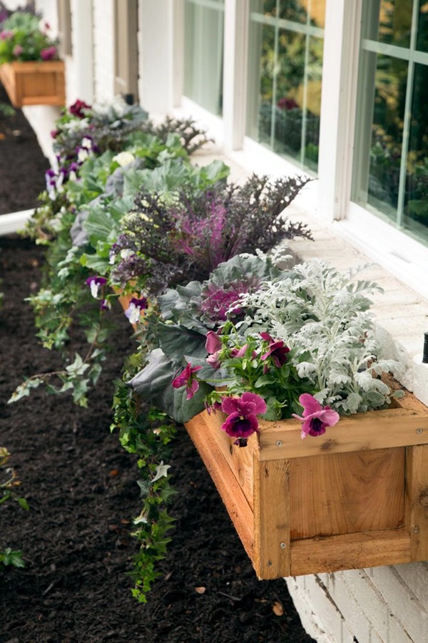 Magical window flower box ideas (26)