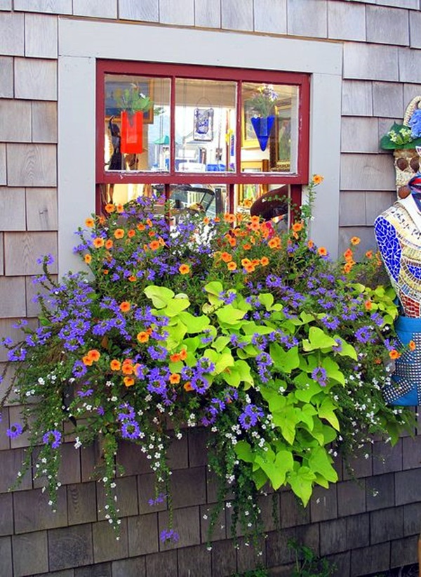 Magical window flower box ideas (29)