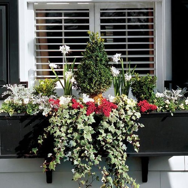 Magical window flower box ideas (30)