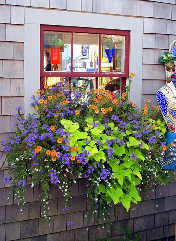 Magical window flower box ideas (31)