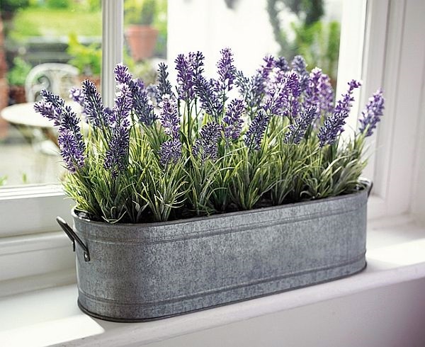 Magical window flower box ideas (32)