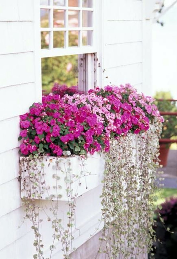 Magical window flower box ideas (36)