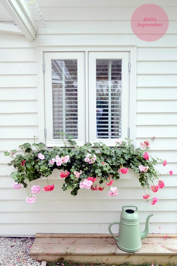 Magical window flower box ideas (38)